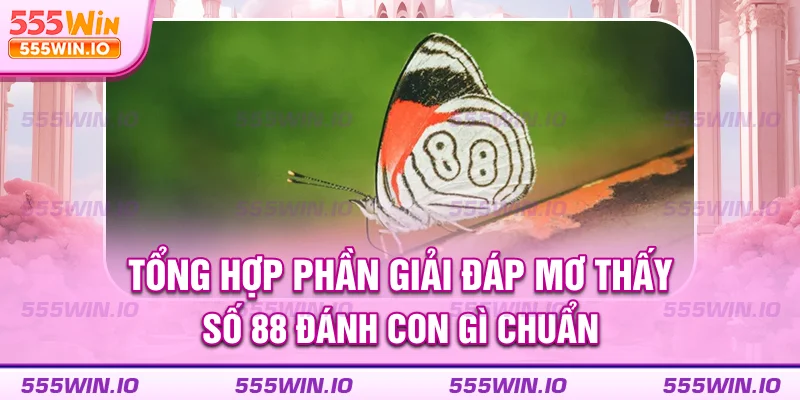 tong-hop-phan-giai-dap-mo-thay-so-88-danh-con-gi-chuan